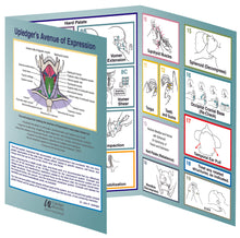 Load image into Gallery viewer, Avenue of Expression Trifold Reference Chart