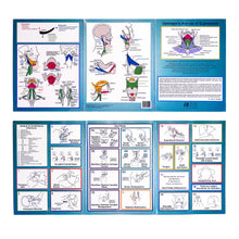Load image into Gallery viewer, Avenue of Expression Trifold Reference Chart