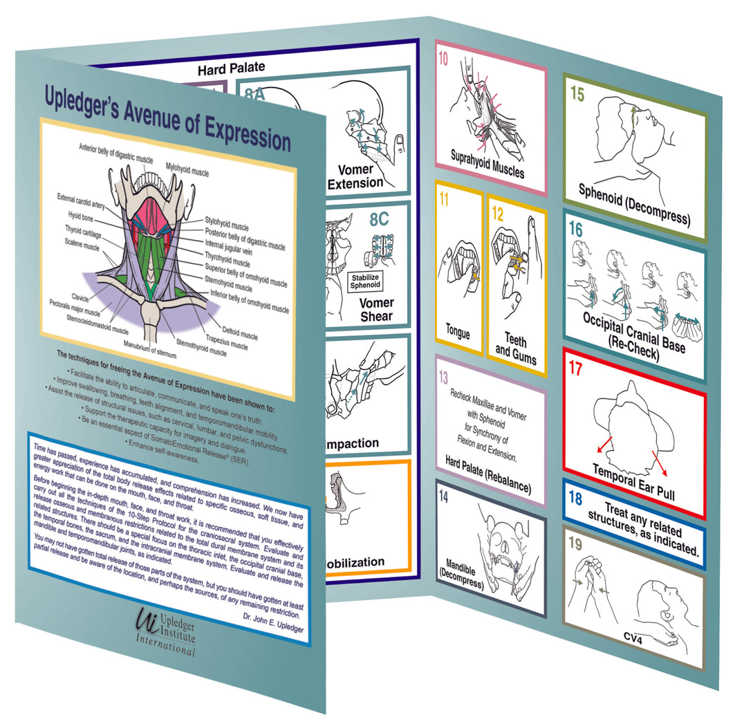 Avenue of Expression Trifold Reference Chart